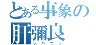 とある事象の肝彌良（レバニラ）