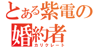 とある紫電の婚約者（カリクレート）