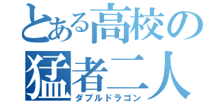 とある高校の猛者二人（ダブルドラゴン）