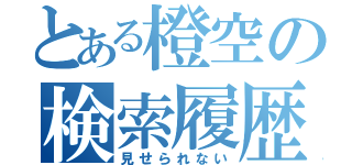 とある橙空の検索履歴（見せられない）