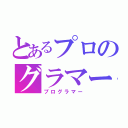 とあるプロのグラマー（プログラマー）