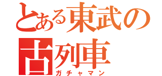 とある東武の古列車（ガチャマン）