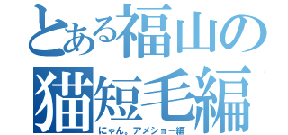 とある福山の猫短毛編（にゃん。アメショー編）