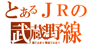 とあるＪＲの武蔵野線（風で止まり事故で止まり）