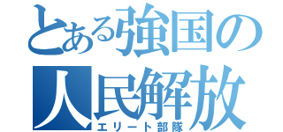 とある強国の人民解放軍（エリート部隊）