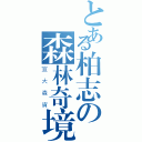 とある柏志の森林奇境（宜大森資）