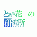 とある花の研究所（ラベンダー）