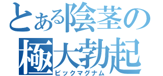 とある陰茎の極大勃起（ビックマグナム）