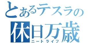 とあるテスラの休日万歳（ニートライフ）