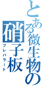 とある微生物の硝子板（プレパラート）