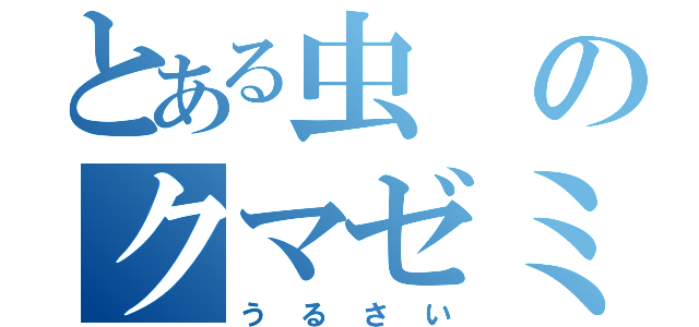 とある虫のクマゼミ（うるさい）