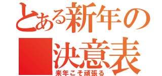 とある新年の「決意表明」（来年こそ頑張る）