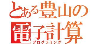 とある豊山の電子計算（プログラミング）