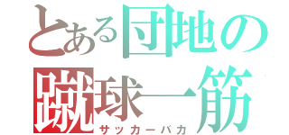 とある団地の蹴球一筋（サッカーバカ）