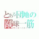 とある団地の蹴球一筋（サッカーバカ）