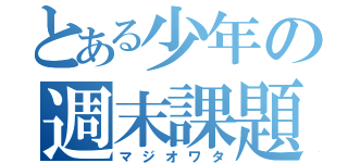 とある少年の週末課題（マジオワタ）