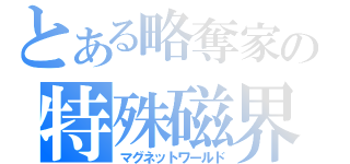 とある略奪家の特殊磁界（マグネットワールド）