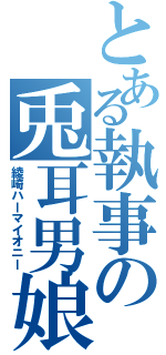 とある執事の兎耳男娘（綾崎ハーマイオニー）