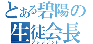 とある碧陽の生徒会長（プレジデント）