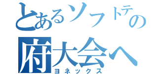 とあるソフトテニス部の府大会への道のり（ヨネックス）