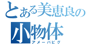 とある美恵良の小物体（アメーバピグ）