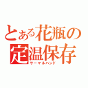 とある花瓶の定温保存（サーマルハンド）