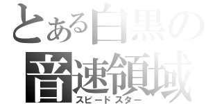 とある白黒の音速領域（スピードスター）