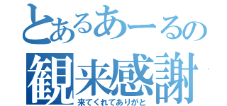 とあるあーるの観来感謝（来てくれてありがと）