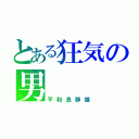 とある狂気の男（平和島静雄）