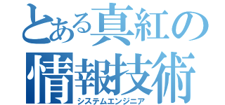 とある真紅の情報技術者（システムエンジニア）