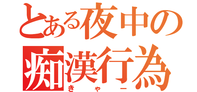 とある夜中の痴漢行為（きゃー）