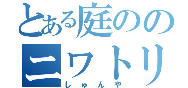 とある庭ののニワトリｓ（しゅんや）