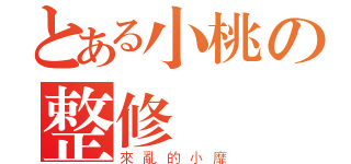 とある小桃の整修時間！（來亂的小靡）