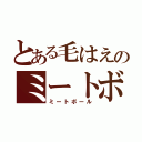 とある毛はえのミートボール（ミートボール）