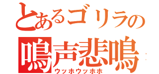 とあるゴリラの鳴声悲鳴（ウッホウッホホ）