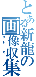 とある新龍の画像収集（ストーカー）