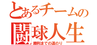 とあるチームの闘球人生（勝利までの道のり）