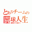 とあるチームの闘球人生（勝利までの道のり）