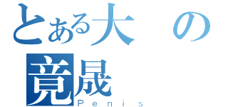 とある大屌の竟晟（Ｐｅｎｉｓ）