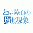 とある陸自の塩化現象（ソルトシティ）