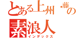 とある上州・藤岡の素浪人　緒方正義（インデックス）