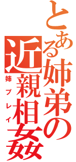 とある姉弟の近親相姦（姉プレイ）