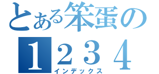 とある笨蛋の１２３４（インデックス）