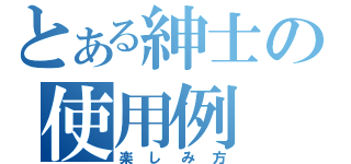 とある紳士の使用例（楽しみ方）