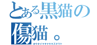 とある黒猫の傷猫。（ホウタイマキマキキズダラケ）