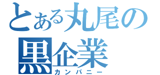 とある丸尾の黒企業（カンパニー）