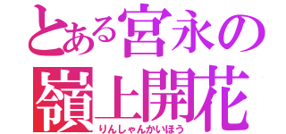 とある宮永の嶺上開花（りんしゃんかいほう）