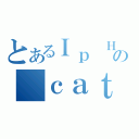 とあるＩｐ ＨＯ Ｐａｋの ｃａｔ（）