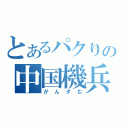 とあるパクりの中国機兵（がんダむ）