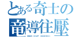 とある奇士の竜導往壓（ＯＮＥ－ＣＵＰ ＯＯＺＥＫＩ）